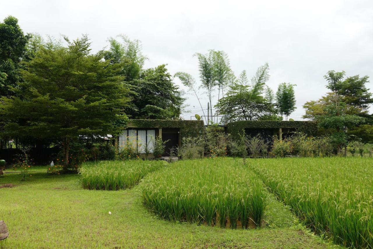 Love Pai Home Bagian luar foto